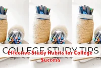 Effective Study Habits for College Success