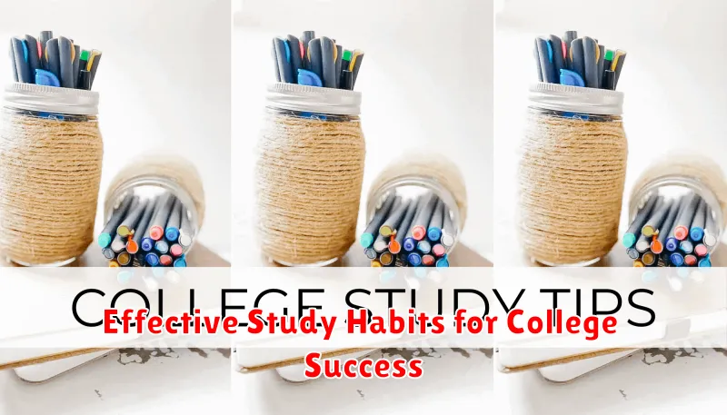 Effective Study Habits for College Success